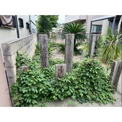 除草作業をさせて頂きました！の画像1
