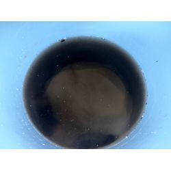 内部のカビ放置はダメ！の画像3