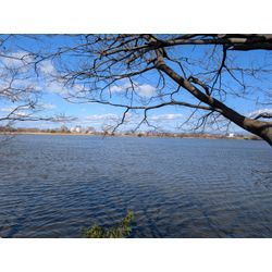 ご無沙汰になってしまいましたが、の画像2