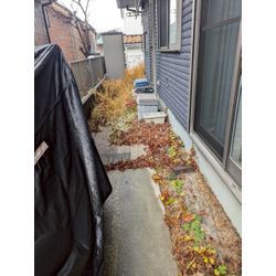 神奈川県横浜市旭区にて草むしりと落ち葉拾いを行いましたの画像1