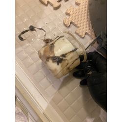 【大好評オプション】ドラム式洗濯機クリーニングと一緒に排水溝洗浄しませんか？の画像3