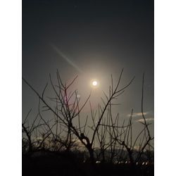 2025の冬至と蟹座満月🌕️の画像1