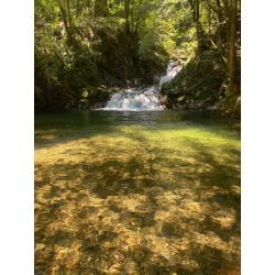 かき氷ツーリングしてます笑の画像2