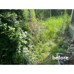 草刈り、抜根作業！の画像1