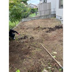 草刈り、抜根作業！の画像3