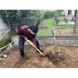 草刈り、抜根作業！の画像2