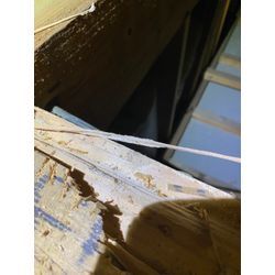 熊本県　玉名市　シロアリ駆除の画像3