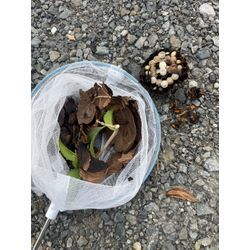 スタッフG君の画像2