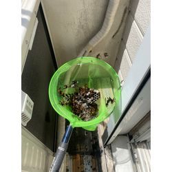 スタッフG君の画像3