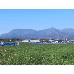 秋も深まって来ました！〜群馬高崎の植木屋ゆうさんオヤジのショートブログ〜の画像1