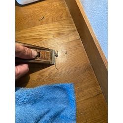 剥がせないコーティング、ニス！！の画像1