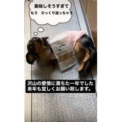 今年も一年ありがとうございましたの画像1