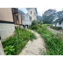 除草作業をさせて頂きました！の画像1