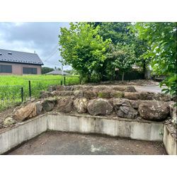 除草作業をさせて頂きました！の画像3