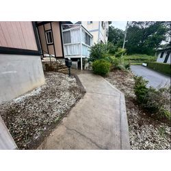 除草作業をさせて頂きました！の画像2