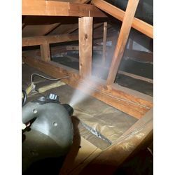 大阪府にてネズミ被害駆除防除対策を行いました。の画像3