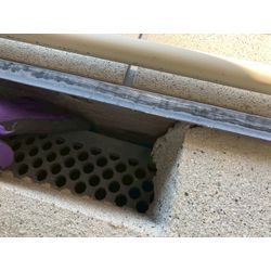 大阪府にてネズミ被害駆除防除対策を行いました。の画像1