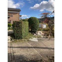 バリカンワークの画像1