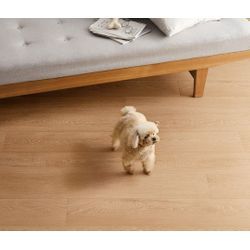 ペットが滑らない「ペット用クッションフロア」のご紹介の画像1