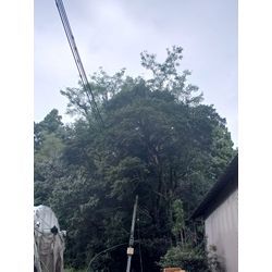 熊本市　北区　植木町　k様宅の画像1