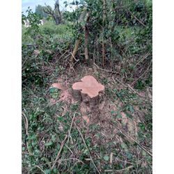 熊本市　北区　植木町　k様宅の画像3