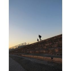 初めての自転車の画像3