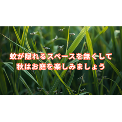 お庭・畦道・会社の草刈りもお任せください。の画像1