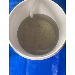 一番若いスタッフ（19歳）が2台施工の画像3