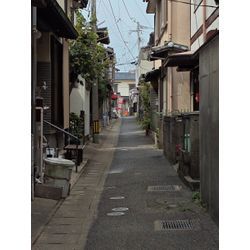 8/8　香椎台ー志賀海神社ー個人的趣味の画像2