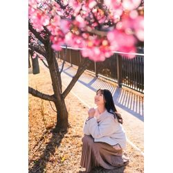 早くも桜が開花してきています🌸の画像1