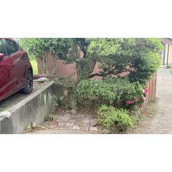 【和歌山・有田エリア】5月の雑草対策はお任せ！駐車場周り・お庭の草むしり承りますの画像1