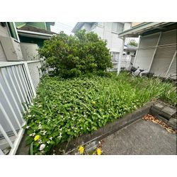 除草作業をさせて頂きました！の画像1