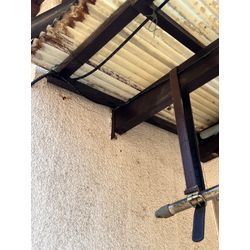 佐賀市　スズメバチ　駆除の画像2