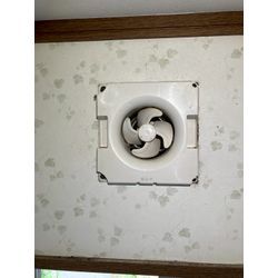 兵庫県にてコウモリ被害防除対策を行いました。の画像2