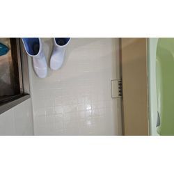 本日のクリーニングの画像3