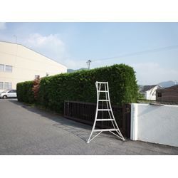 守るS.W.A.T2 | 広島県山口県で庭木の剪定は塩田剪庭園の画像1