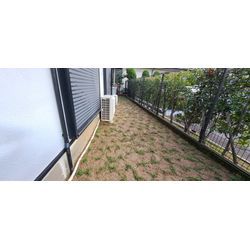 雑草対策のタイム植栽の画像3