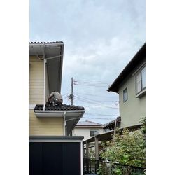 福岡県小郡市　鳥獣　イタチ　対策の画像1