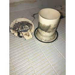 【排水口のお掃除】の画像1