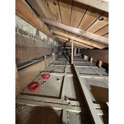 市原市ネズミ駆除の画像1