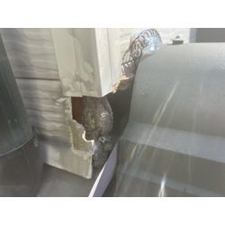 狛江市　コウモリ対策工事の画像2