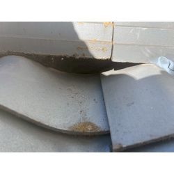 狛江市　コウモリ対策工事の画像1