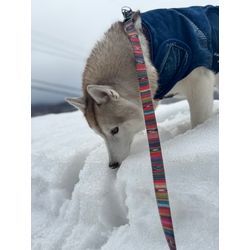 祝開業1年！の画像2