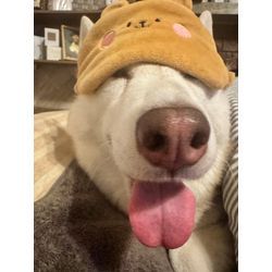 祝開業1年！の画像1