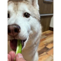 祝開業1年！の画像3