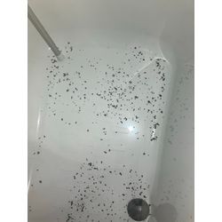 【浴室のカビの一因】の画像3