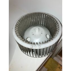 【浴室のカビの一因】の画像1