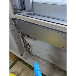団地・マンションのカビの画像3