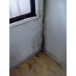 団地・マンションのカビの画像2