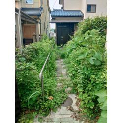 緑区にて草刈り作業の画像1